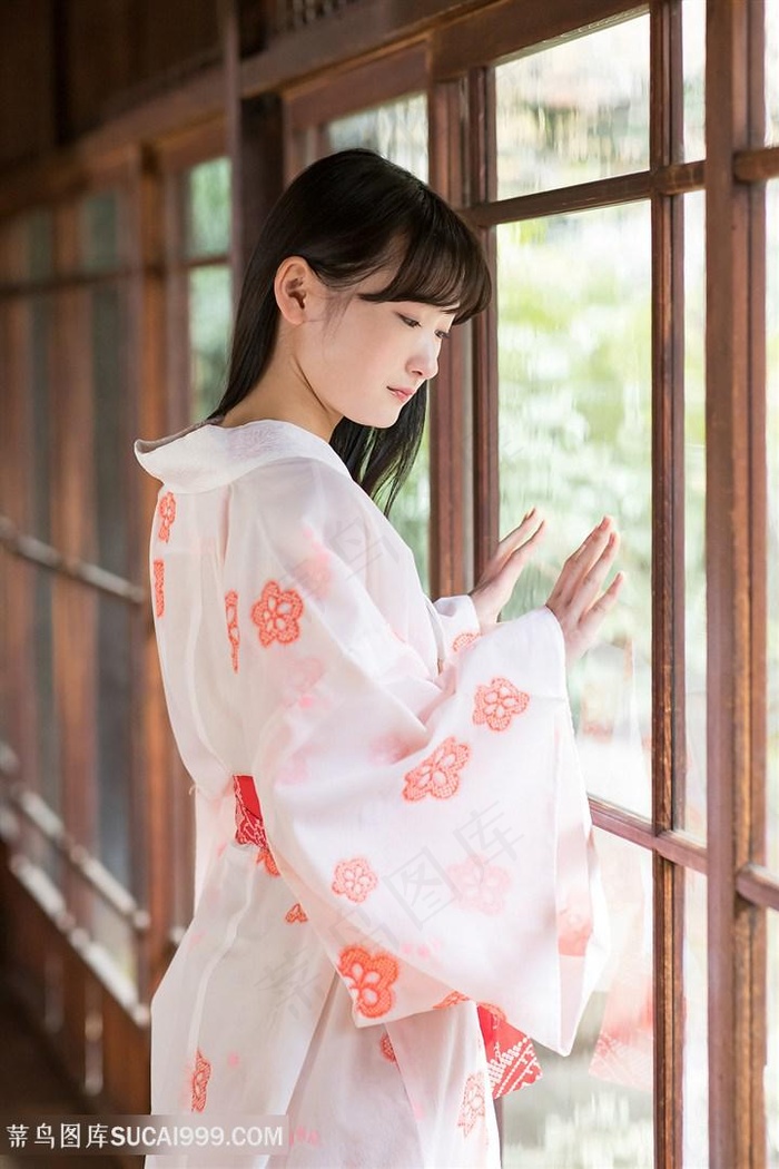 最新老扒系列小说