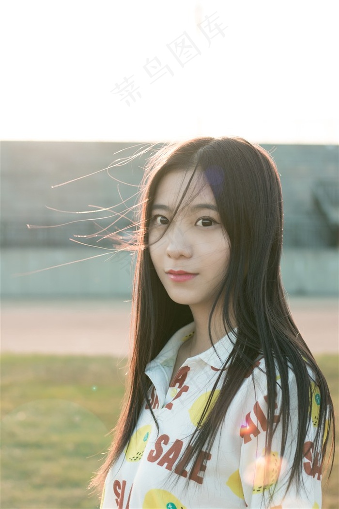 免费gv网站入口