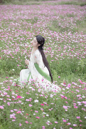 国产hs免费高清