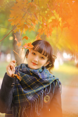 公交车系列h2诗